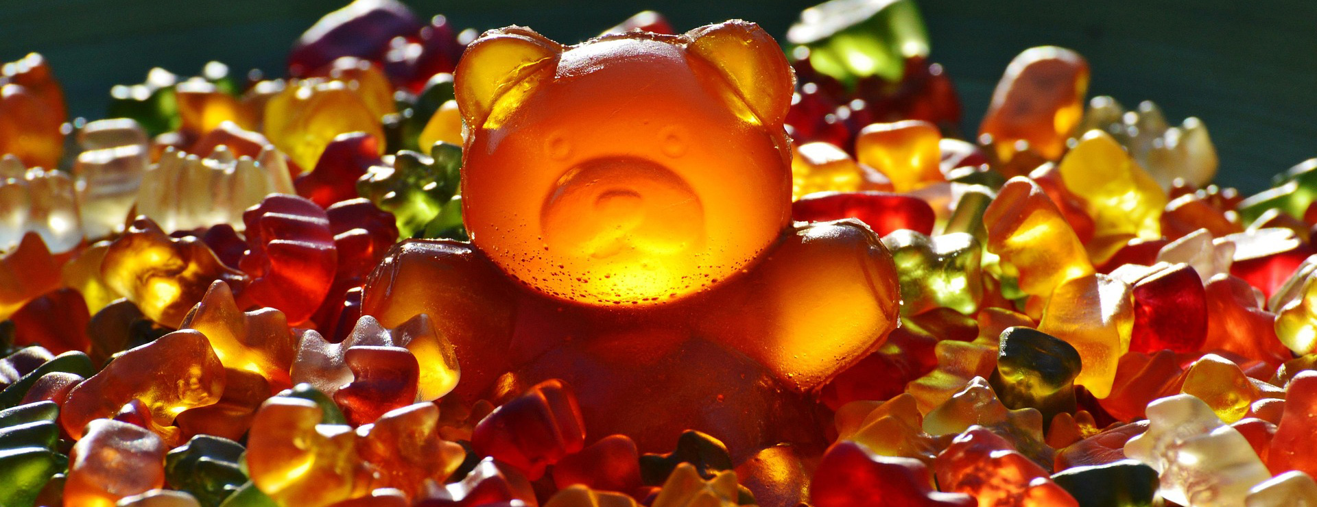 Grocery Store -Grocery Store giant gummy bear 1089618 1920
