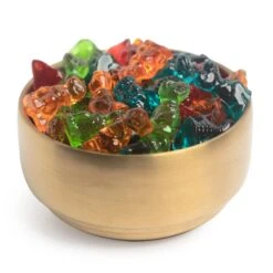 4D Dinosaur Gummies 5 4D Dinosaur Gummies -Grocery Store lolli and pops bulk 4d dinosaur gummies 32993594933448