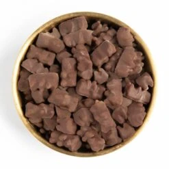 Chocolate Covered Gummy Bears