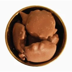 Chocolate Pecan Caramel Patties