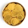 Fort Knox Chocolate Coins