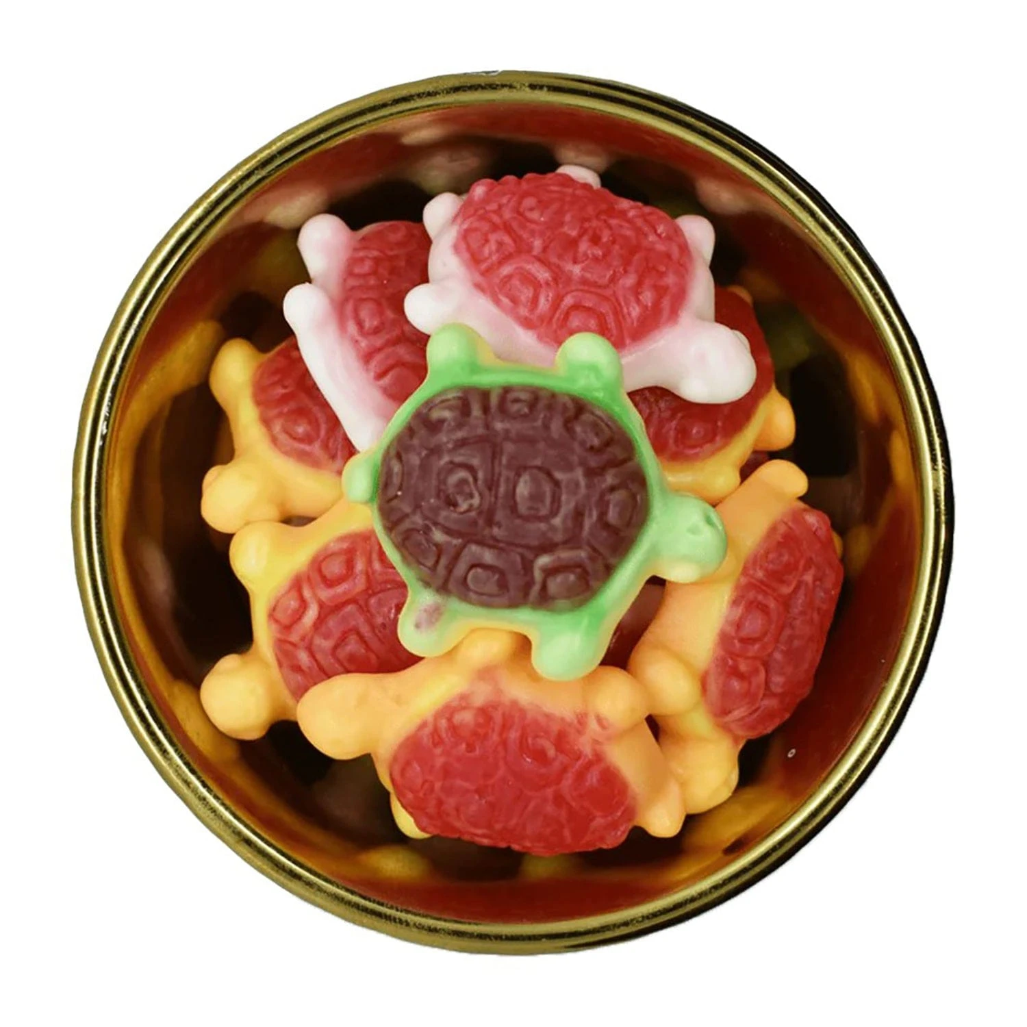 Gummy Filled Turtles 1 Gummy Filled Turtles