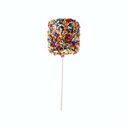 Rainbow Confetti Marshmallow Pop -Grocery Store lolli and pops l p collection rainbow confetti marshmallow pop 34162558206152