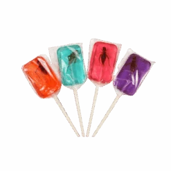 Cricket Lick-It Sucker